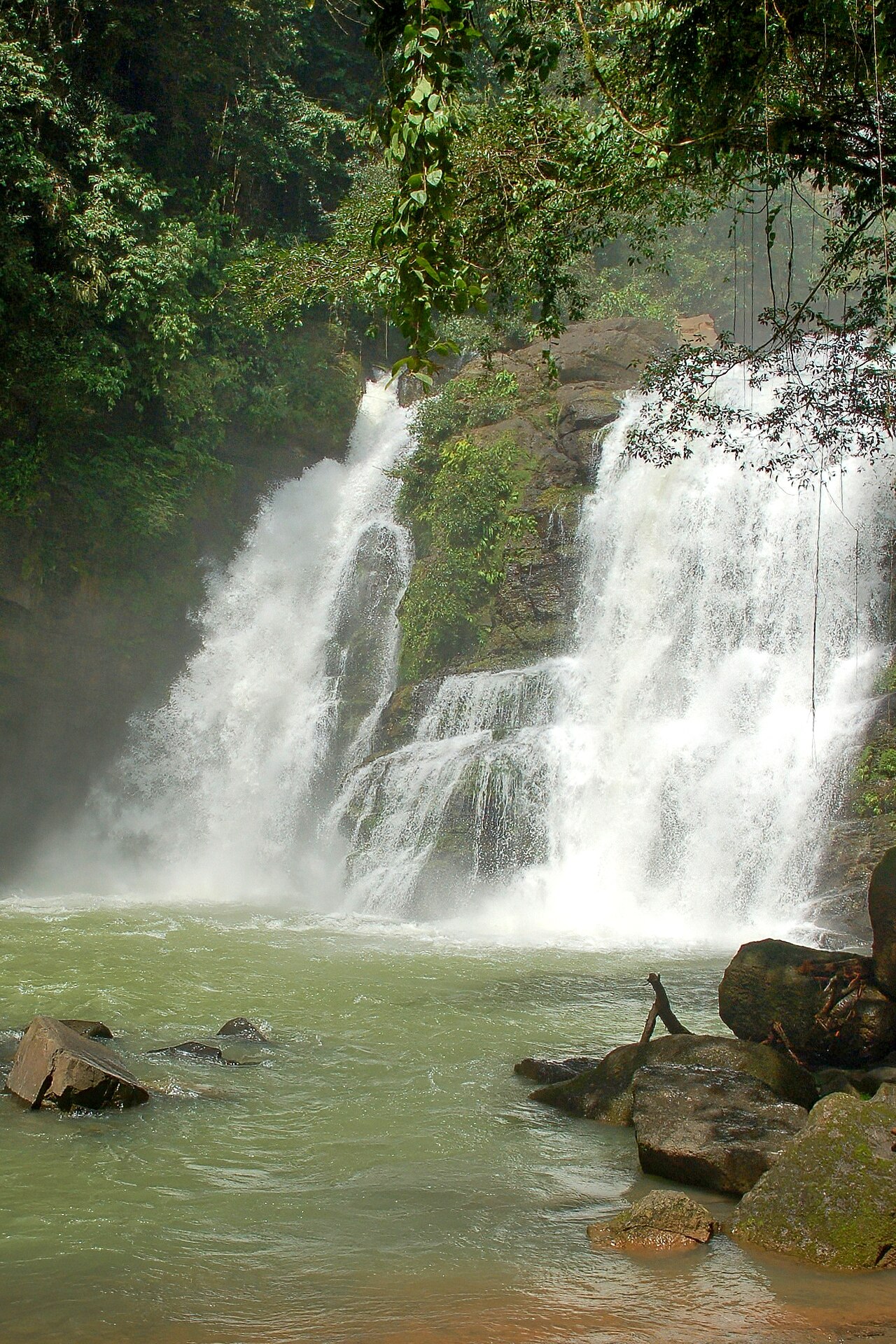 Rainforest waterfall and swimming hole near Uvita